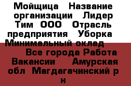 Мойщица › Название организации ­ Лидер Тим, ООО › Отрасль предприятия ­ Уборка › Минимальный оклад ­ 20 000 - Все города Работа » Вакансии   . Амурская обл.,Магдагачинский р-н